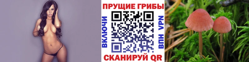 продажа наркотиков  кракен онион  Галлюциногенные грибы Magic Shrooms  Наволоки 