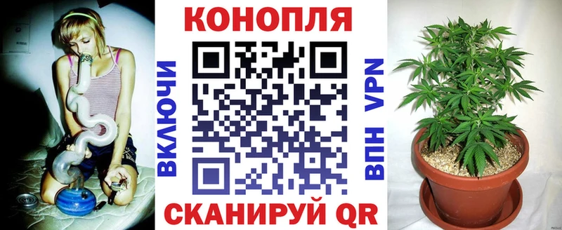 блэк спрут сайт  Наволоки  Канабис White Widow 